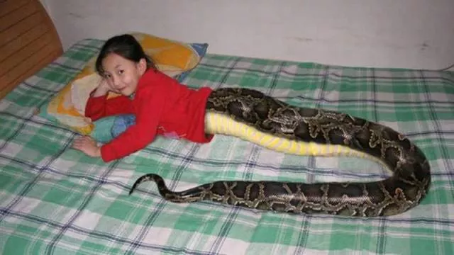 Picdump 102 - #7 