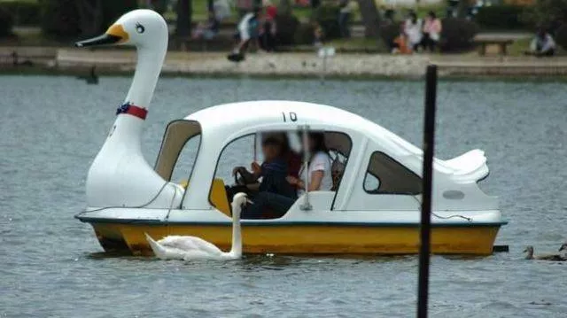 Picdump 102 - #71 