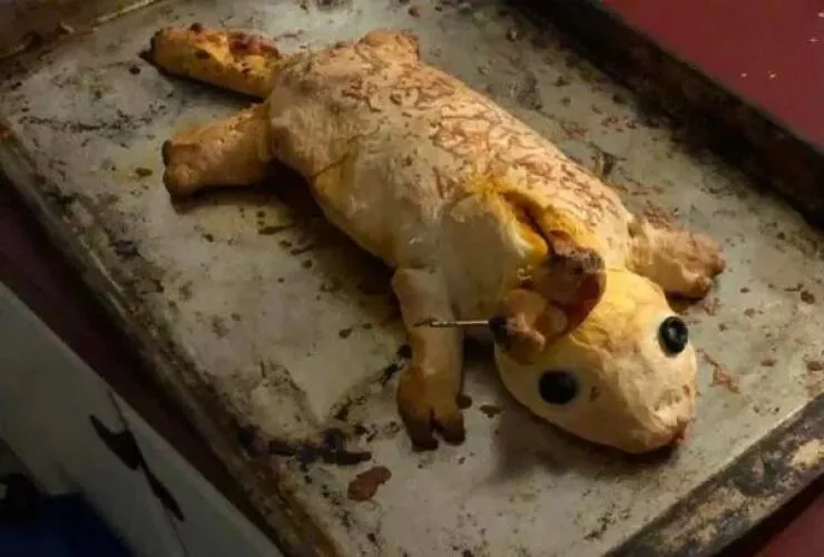 Recettes insolites et plats bizarres du monde entier - #21 