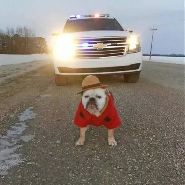 Things that only happen in canada - #4 