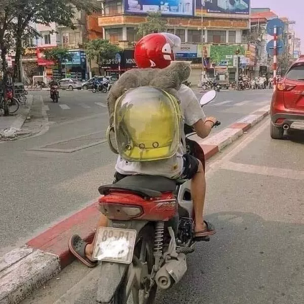 Picdump 709 - #2 
