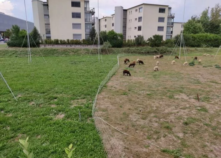 Picdump 709 - #43 