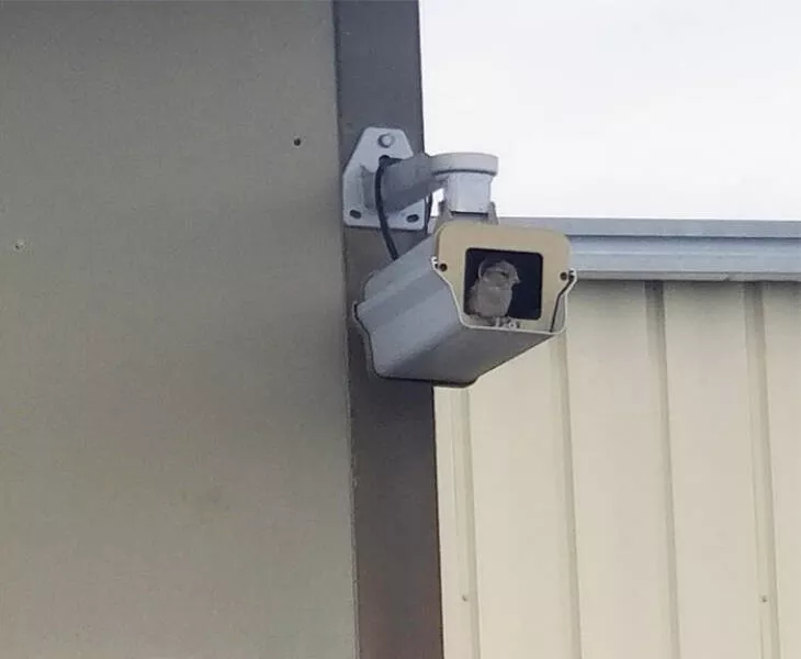 Total security is not for everyone - #3 
