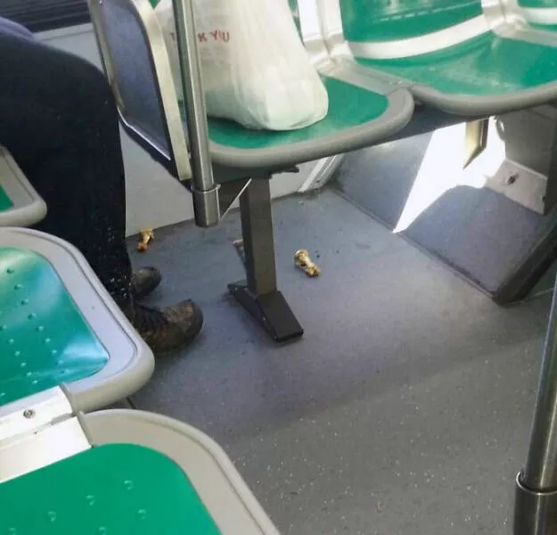 We dont like to be near these passengers - #33 