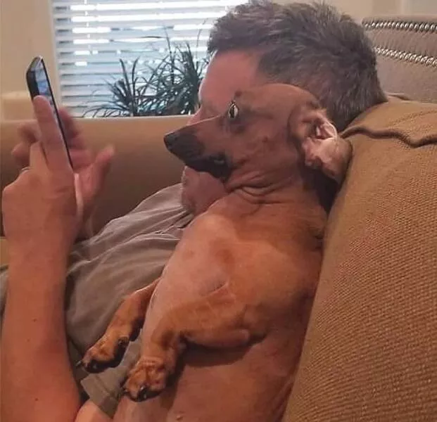 Picdump 710 - #46 