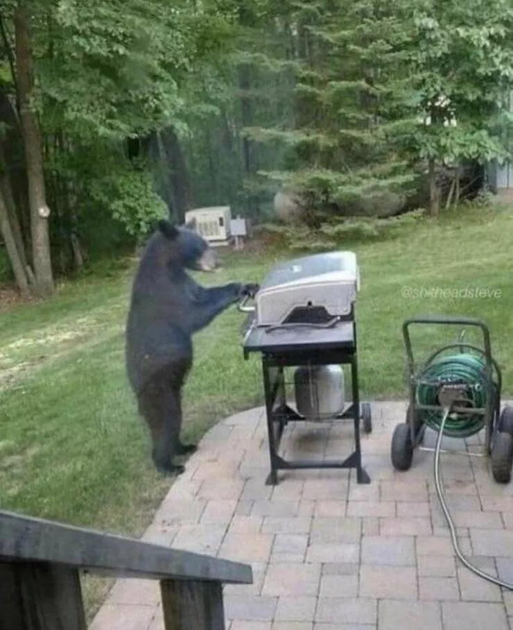 Picdump 711 - #19 