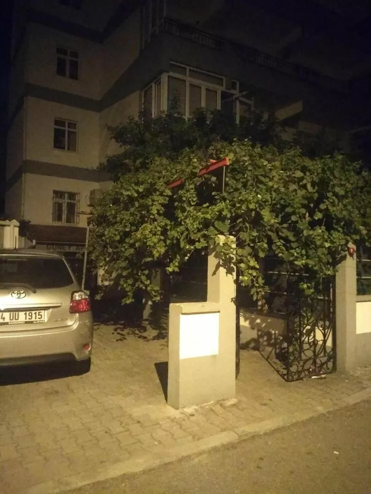 Picdump 711 - #24 
