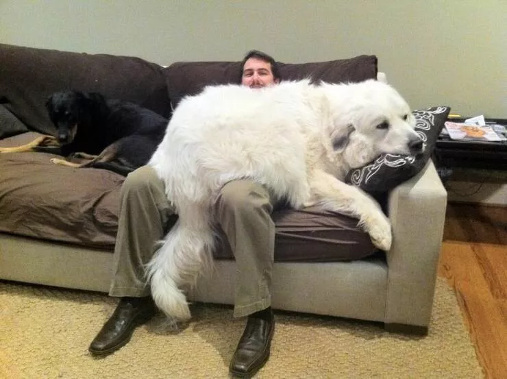 Picdump 711 - #47 