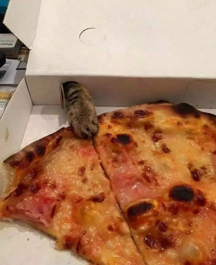 Picdump 711 - #60 