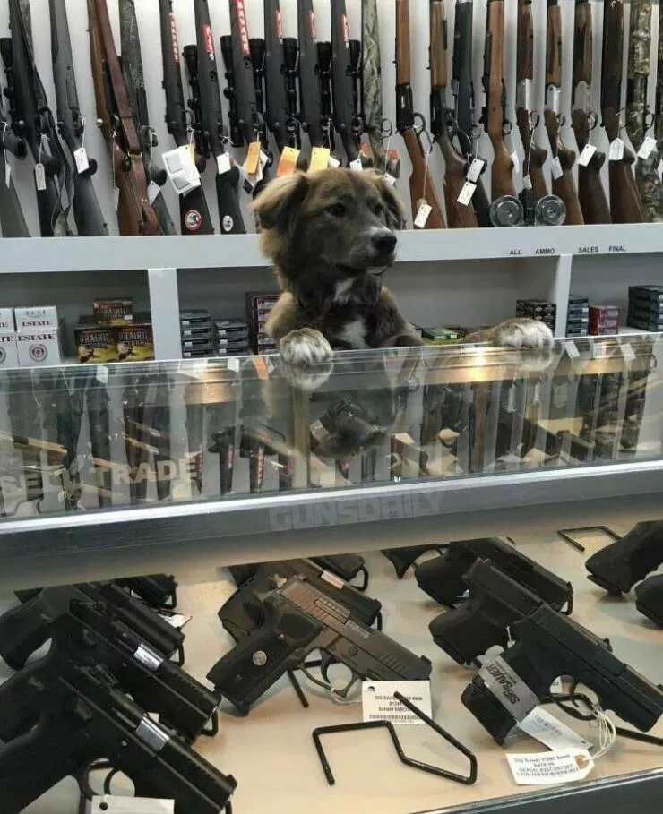 Picdump 712 - #13 