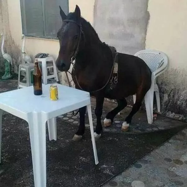 Picdump 712 - #16 