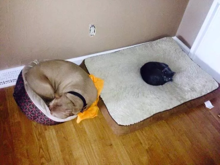 Picdump 712 - #5 