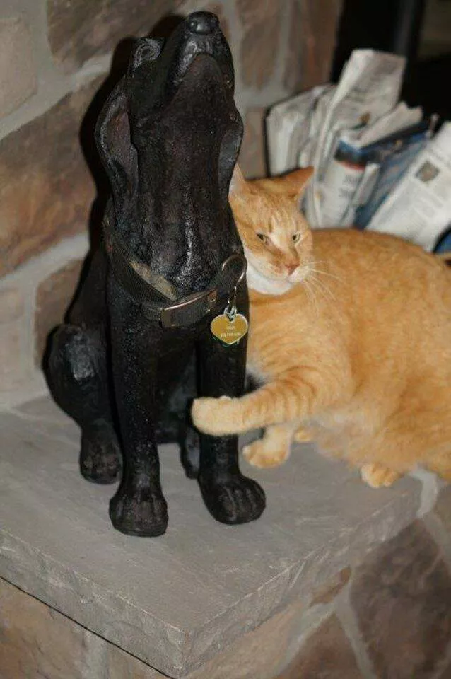 Picdump 712 - #61 