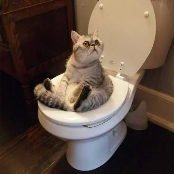 Picdump 713 - #27 
