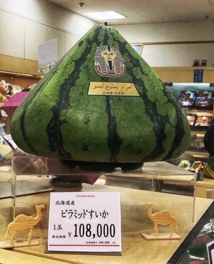 Picdump 713 - #31 