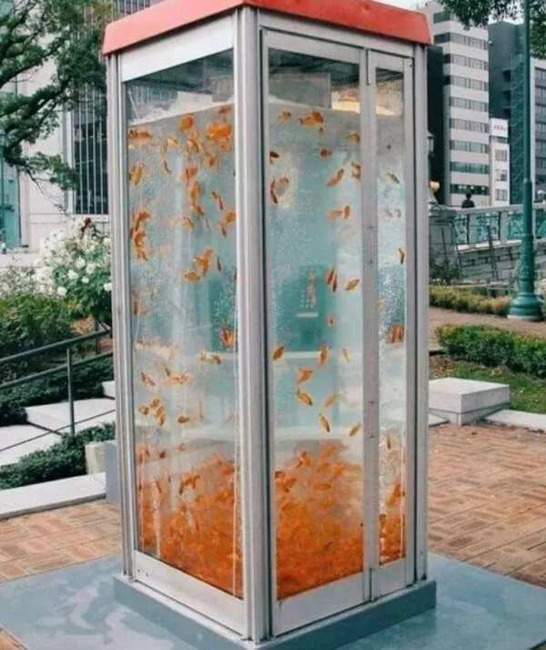Things that will fascinate you - #41 