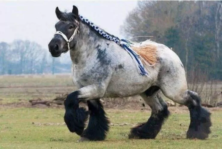 Things that will fascinate you - #43 