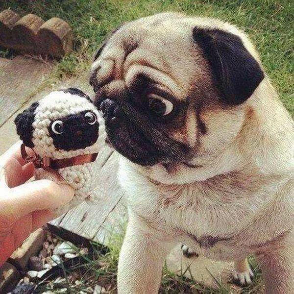 Picdump 714 - #14 
