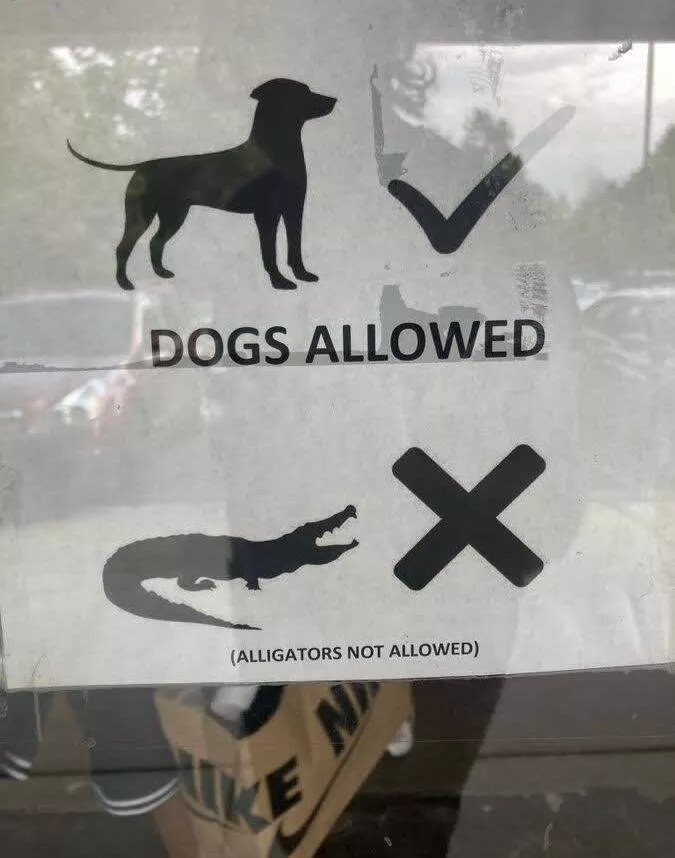 Picdump 714 - #24 