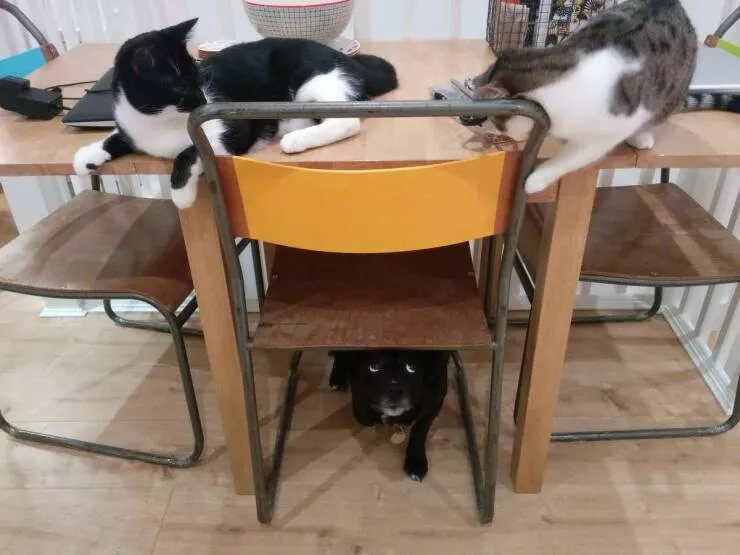 Picdump 714 - #30 