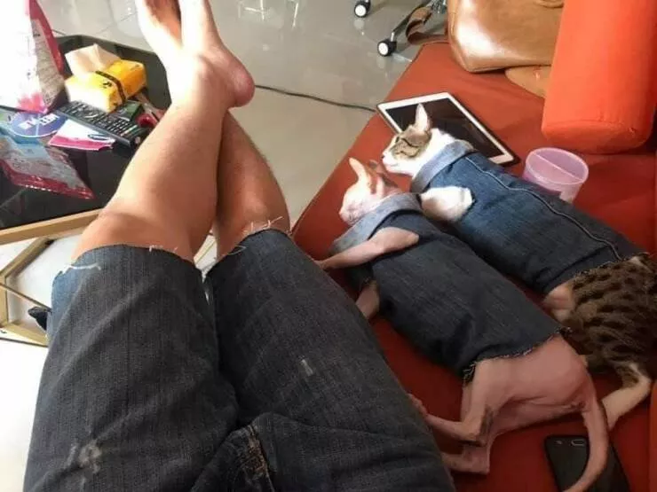 Picdump 714 - #53 