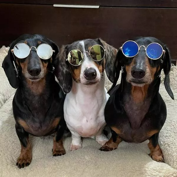 Picdump 714 - #59 
