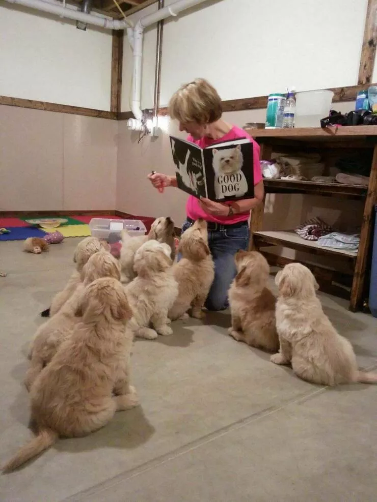 Picdump 714 - #6 