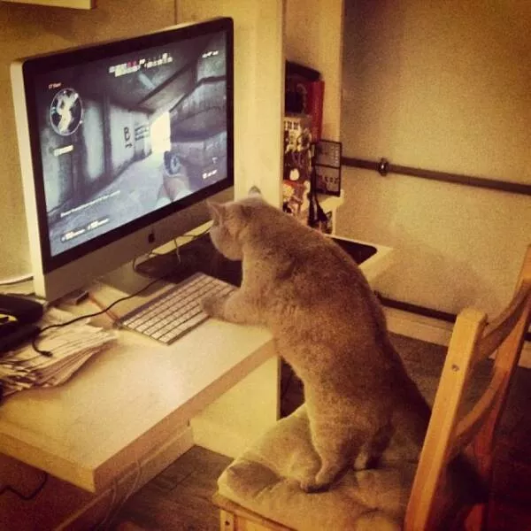 Picdump 714 - #9 