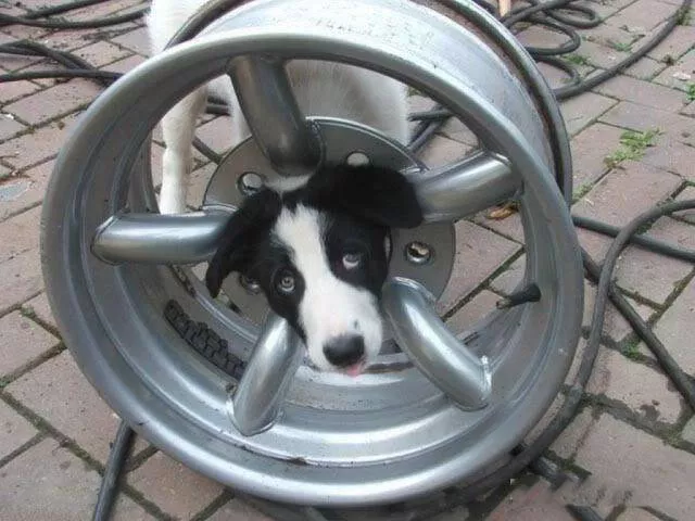 Worst embarrassing situations captured - #14 