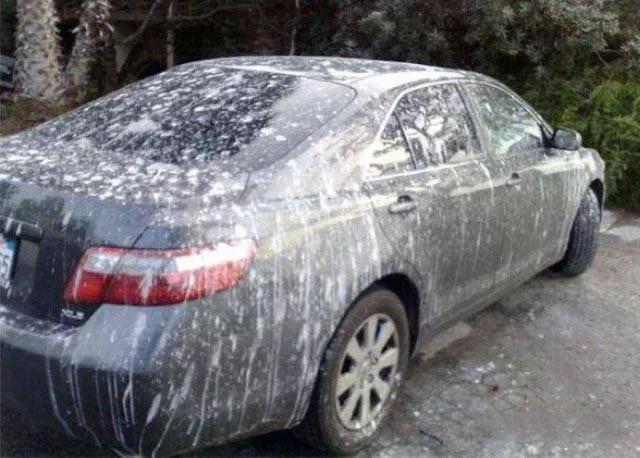 Worst embarrassing situations captured - #22 