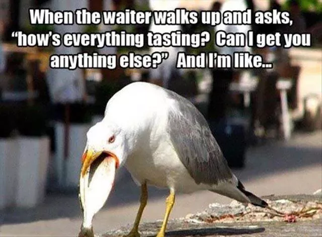 Worst embarrassing situations captured - #35 