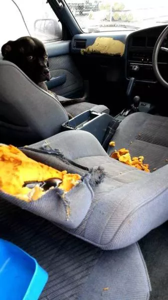 Worst embarrassing situations captured - #9 