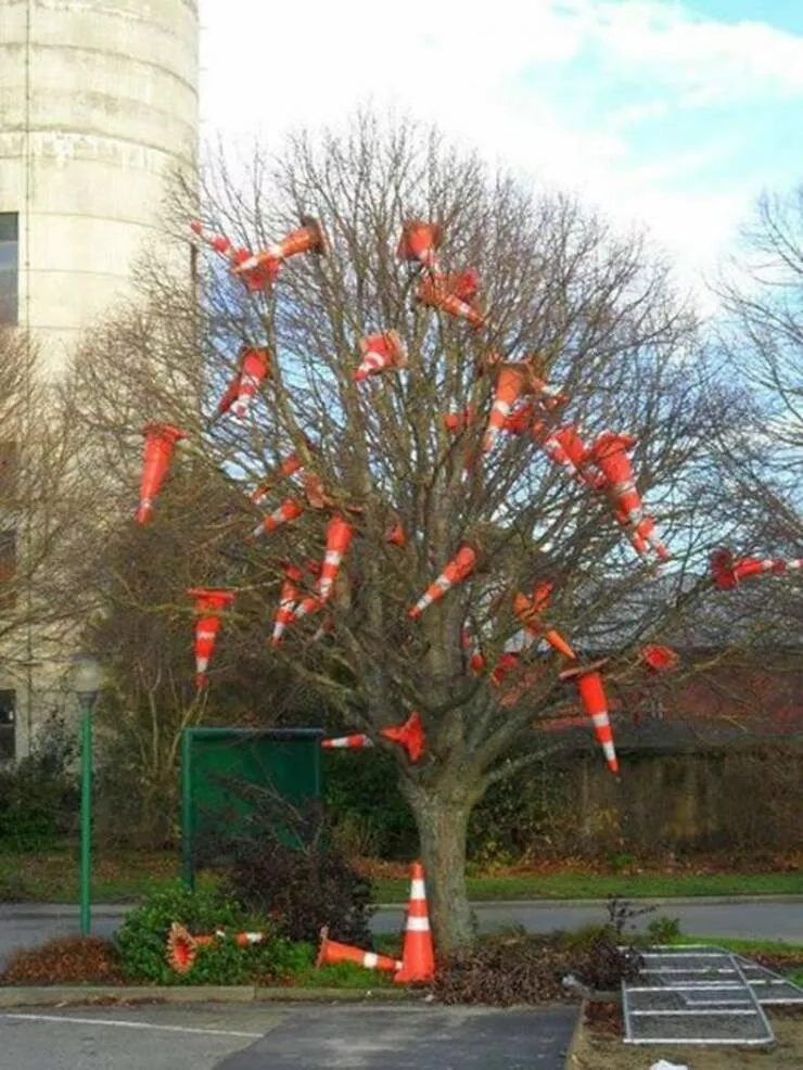 Picdump 715 - #30 