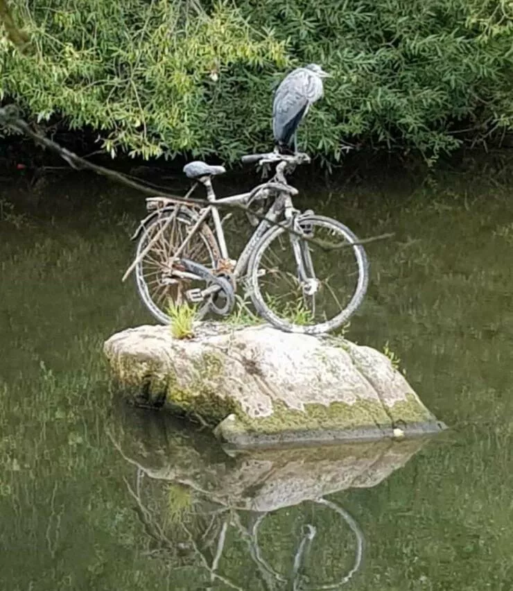 Picdump 715 - #43 