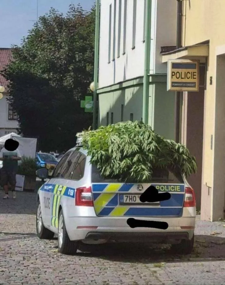 Picdump 715 - #53 