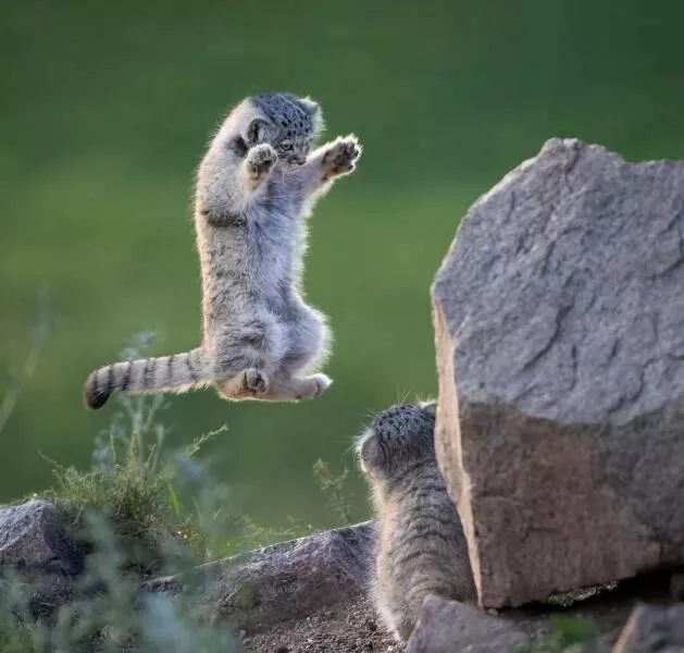Picdump 715 - #8 