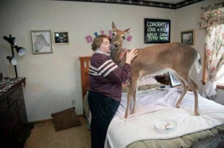 Picdump 715 - #9 