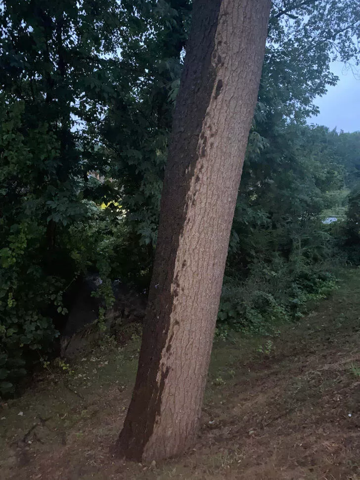 Rare photos that you cant see every day - #16 