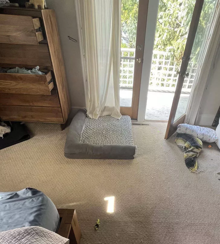 Rare photos that you cant see every day