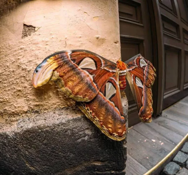 Rare photos that you cant see every day - #24 
