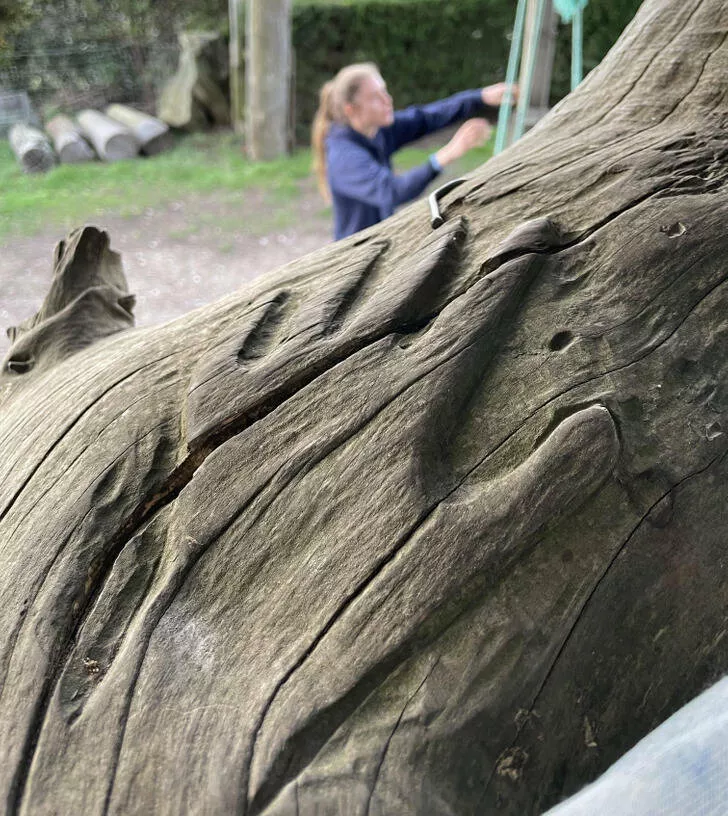 Rare photos that you cant see every day - #25 
