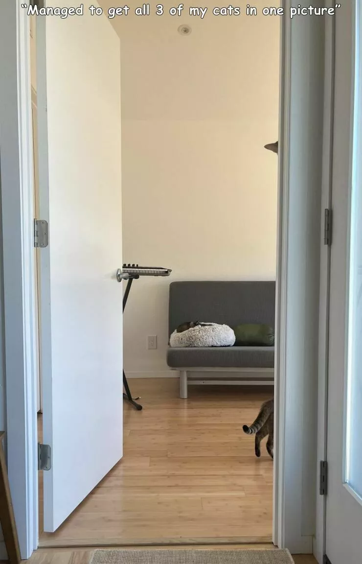 Picdump 717 - #10 