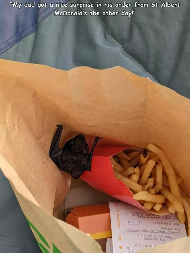 Picdump 717 - #13 