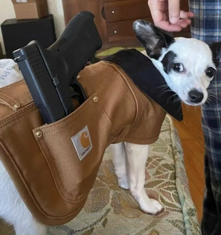 Picdump 717 - #9 