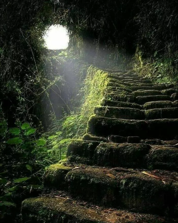 Top des decouvertes archeologiques impressionnantes - #3 