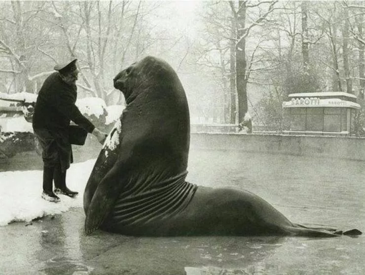 Picdump 719 - #10 Picdump 719 - #10