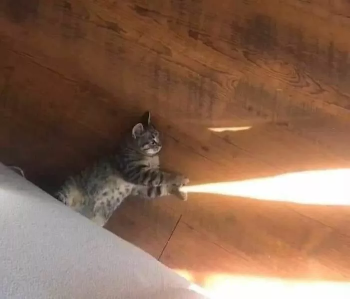Picdump 719 - #27 