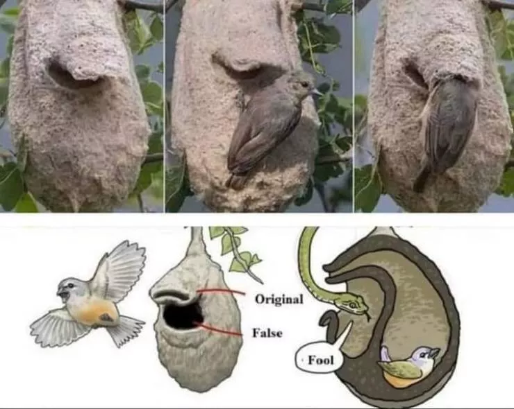 Picdump 720 - #11 