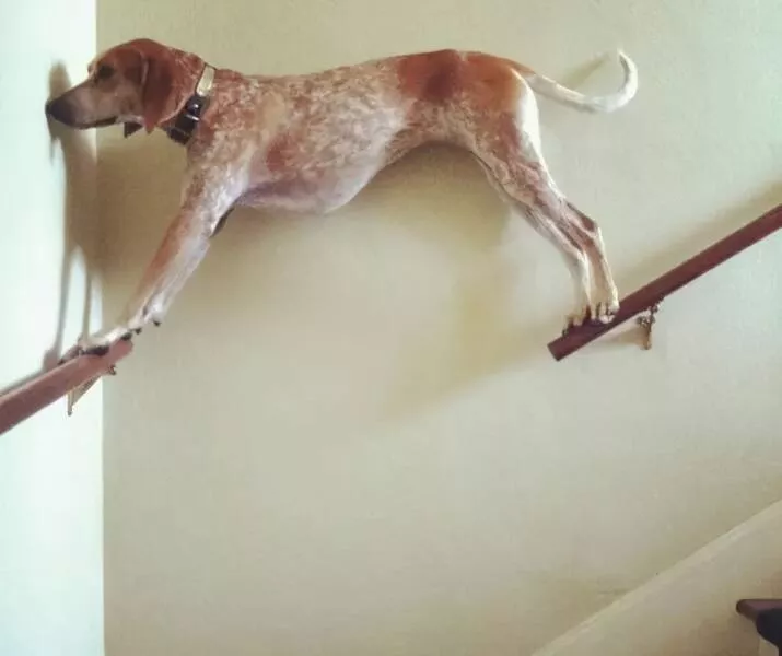 Picdump 720 - #47 