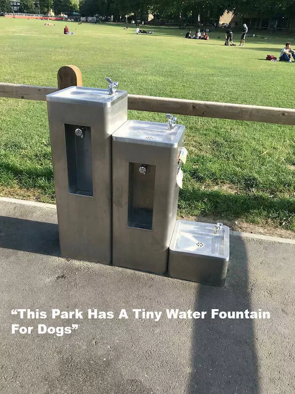 People who do things differently - #28 People who do things differently - #28